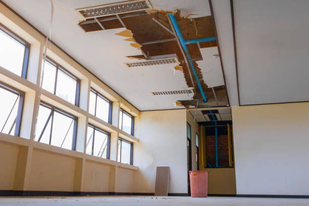 Best 24-hour water damage restoration  in Superior, CO