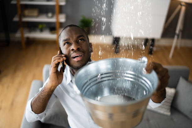 Best Carpet water damage restoration  in Superior, CO