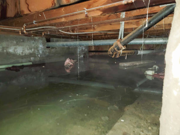 Best Water damage restoration near me  in Superior, CO