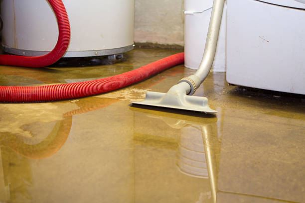 Best Water damage restoration near me  in Superior, CO