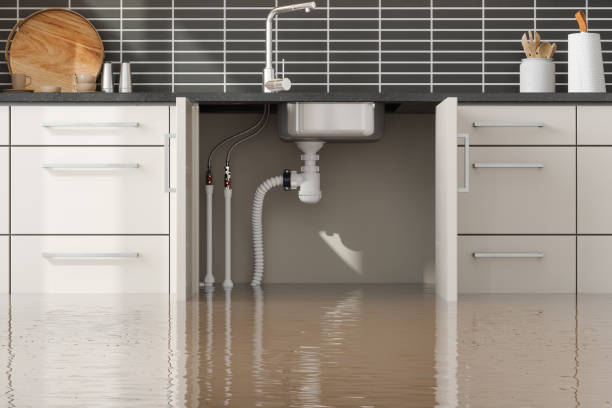 Best Flood restoration services  in Superior, CO