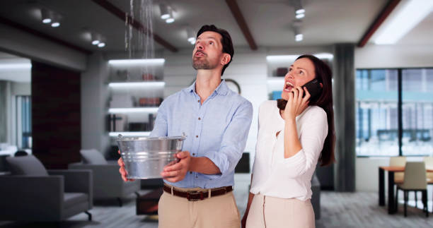 Best Ceiling water damage repair  in Superior, CO